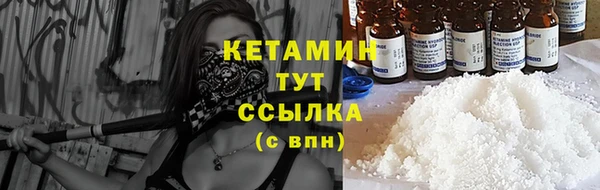 шишки Армянск