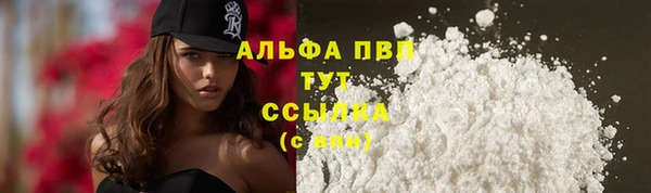 шишки Армянск