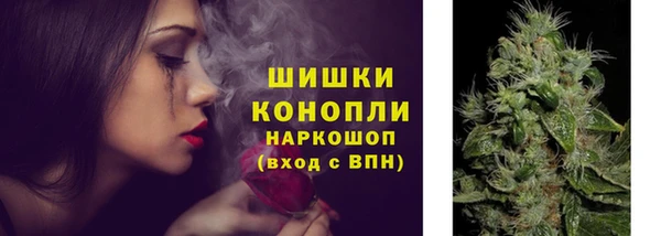 шишки Армянск