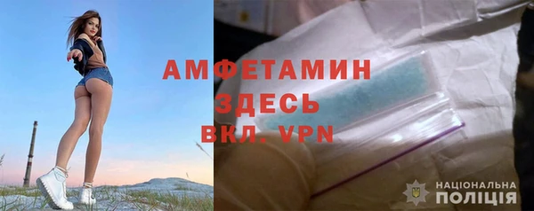шишки Армянск