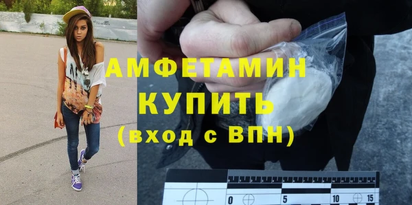 шишки Армянск