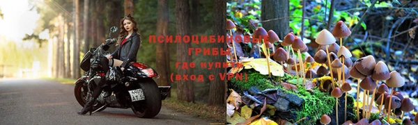 apvp Аркадак