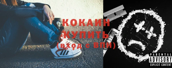 шишки Армянск