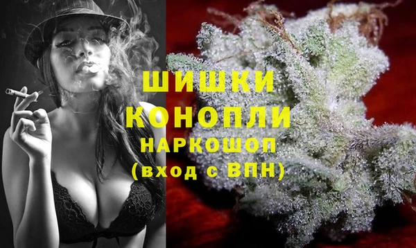 шишки Армянск