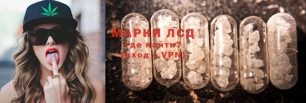 apvp Аркадак